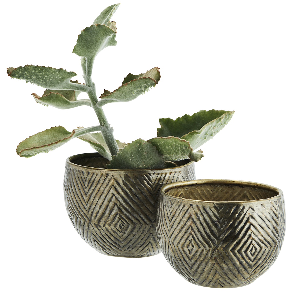 Hand hammered aluminum flower pots