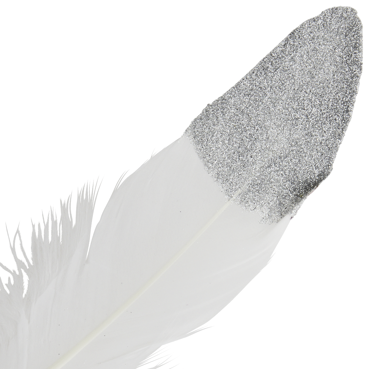 Two tone goose feathers