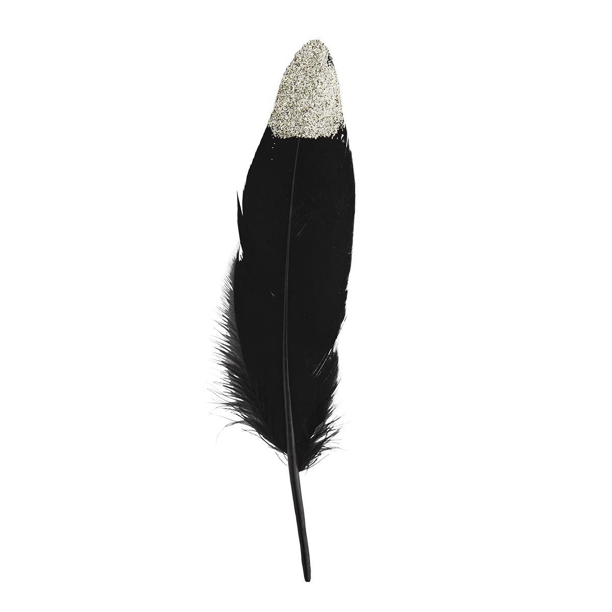Two tone goose feathers