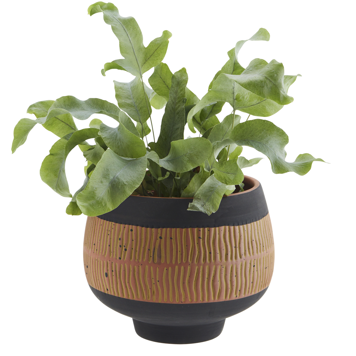 Hand painted terracotta flower pot