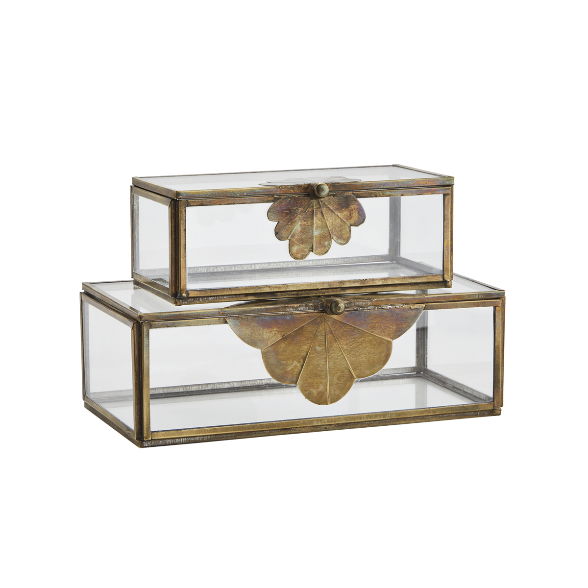 Glass boxes w/ brass leaf