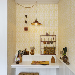 Enamel ceiling lamp