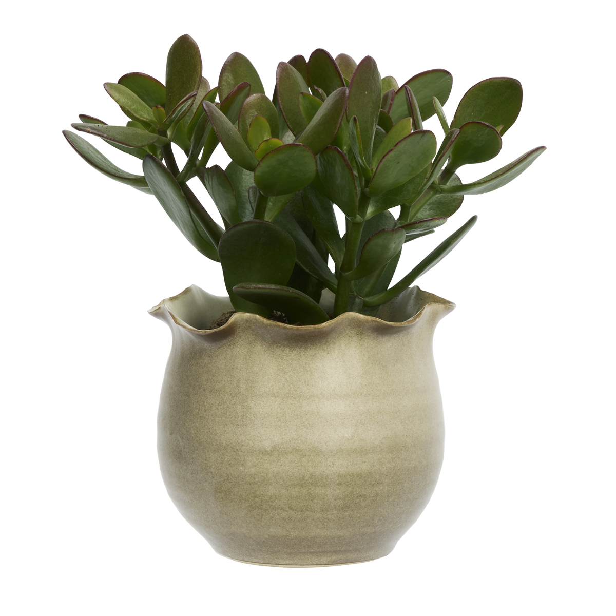 Stoneware flower pot