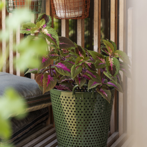 Hanging iron pot holder