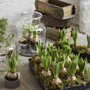 Re-used wooden brick mould