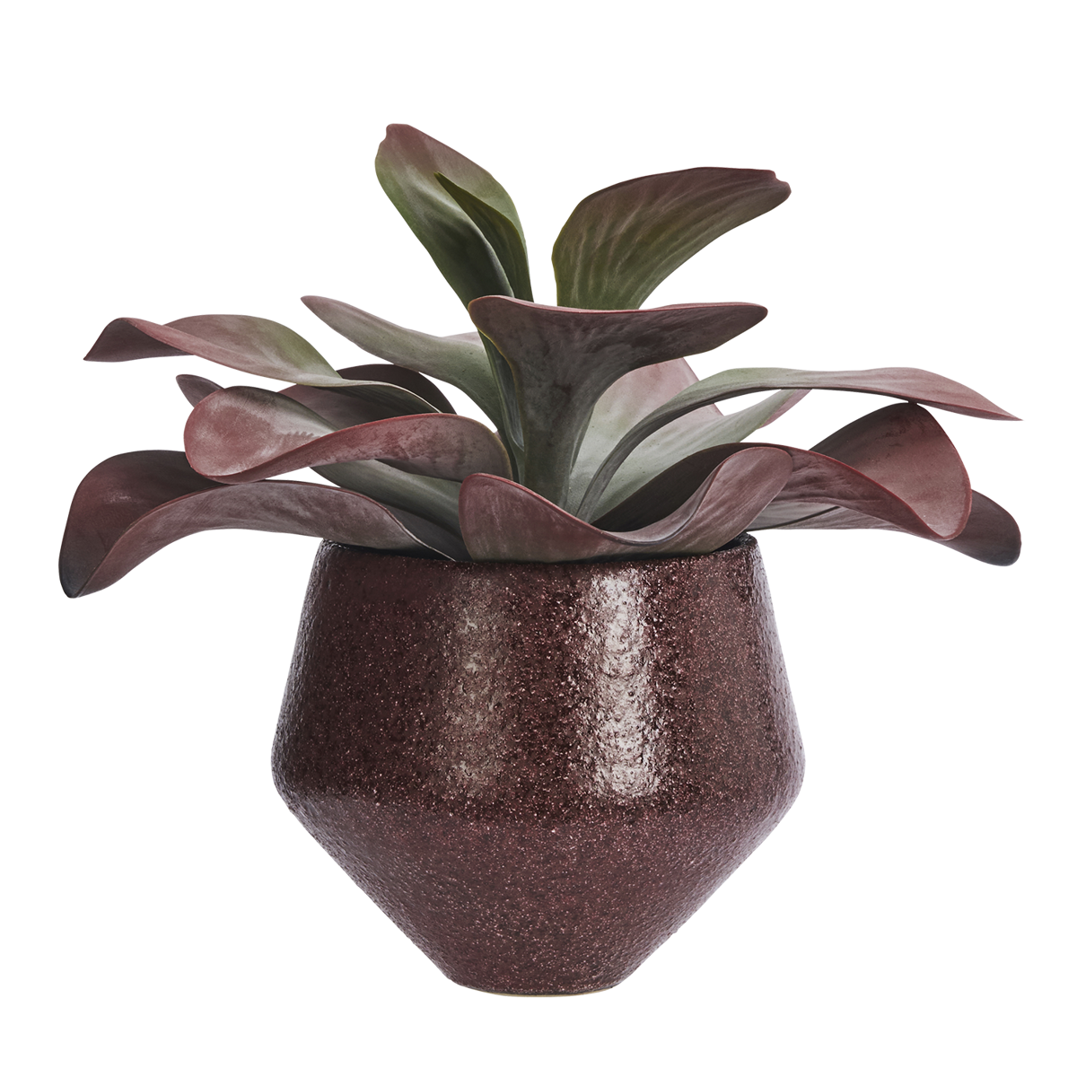 Stoneware flower pot