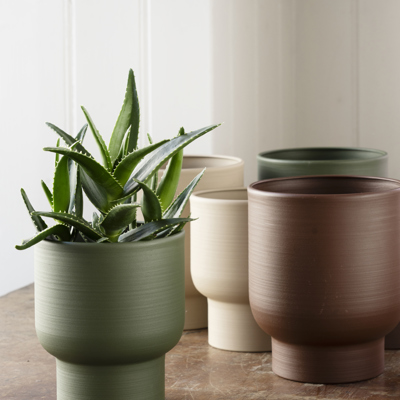 Versatile Flower Pots: Combining Design with Function