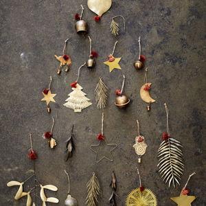 Small iron mistletoe