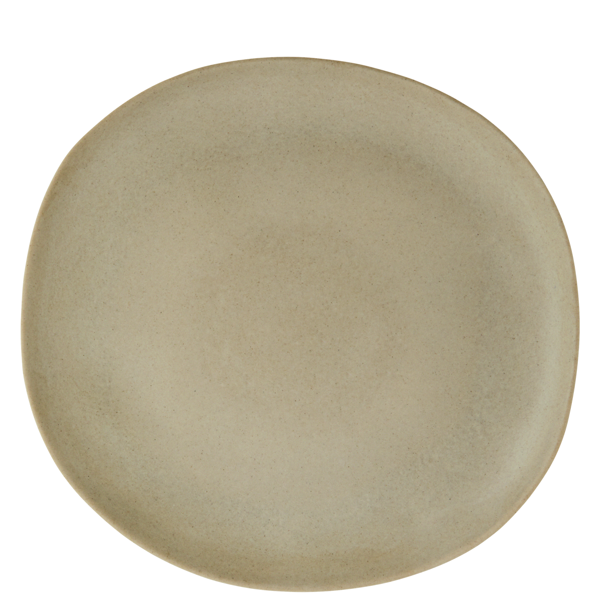 Eco sustainable melamine dinner plate