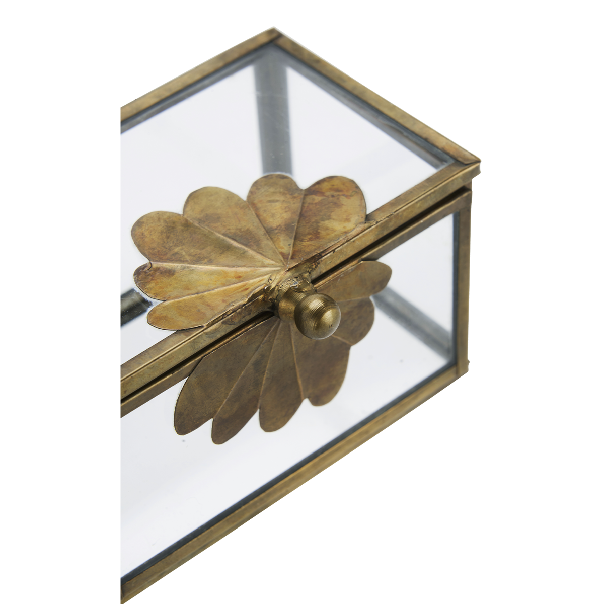 Glass box w/ brass leaf
