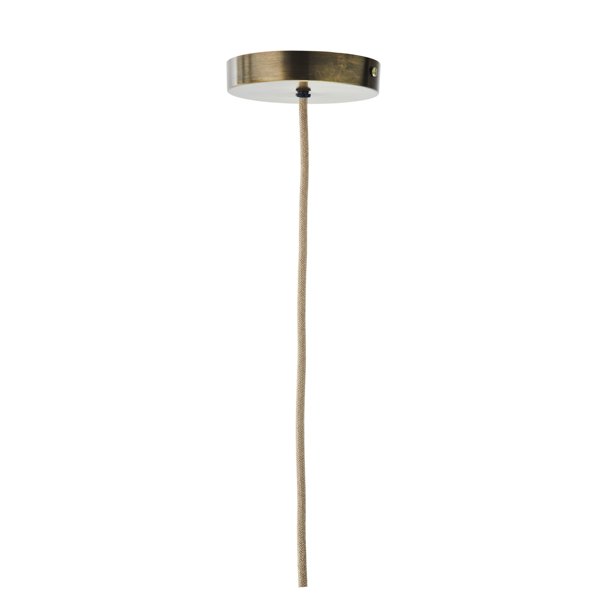 Grass ceiling lamp