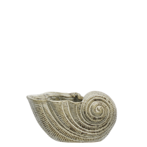 Stoneware conch