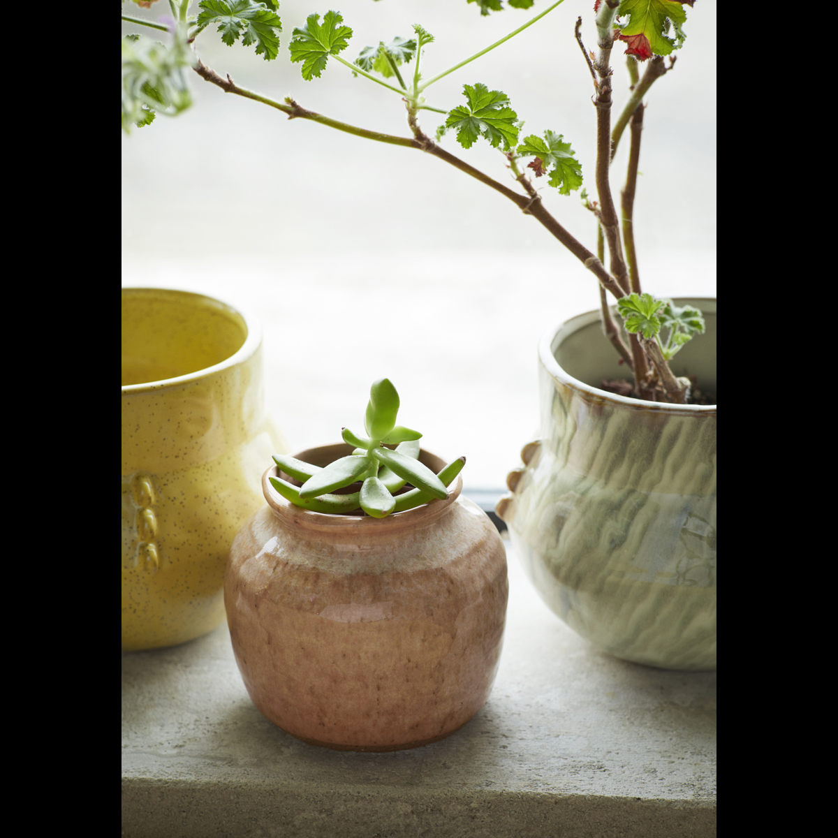 Stoneware flower pot