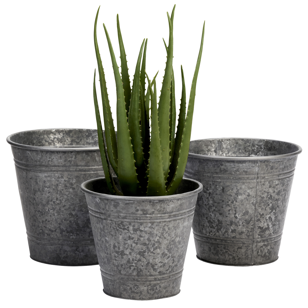 Galvanised iron planters