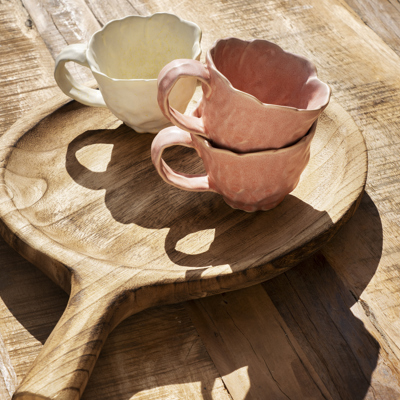 Paulownia – the tree that grows back