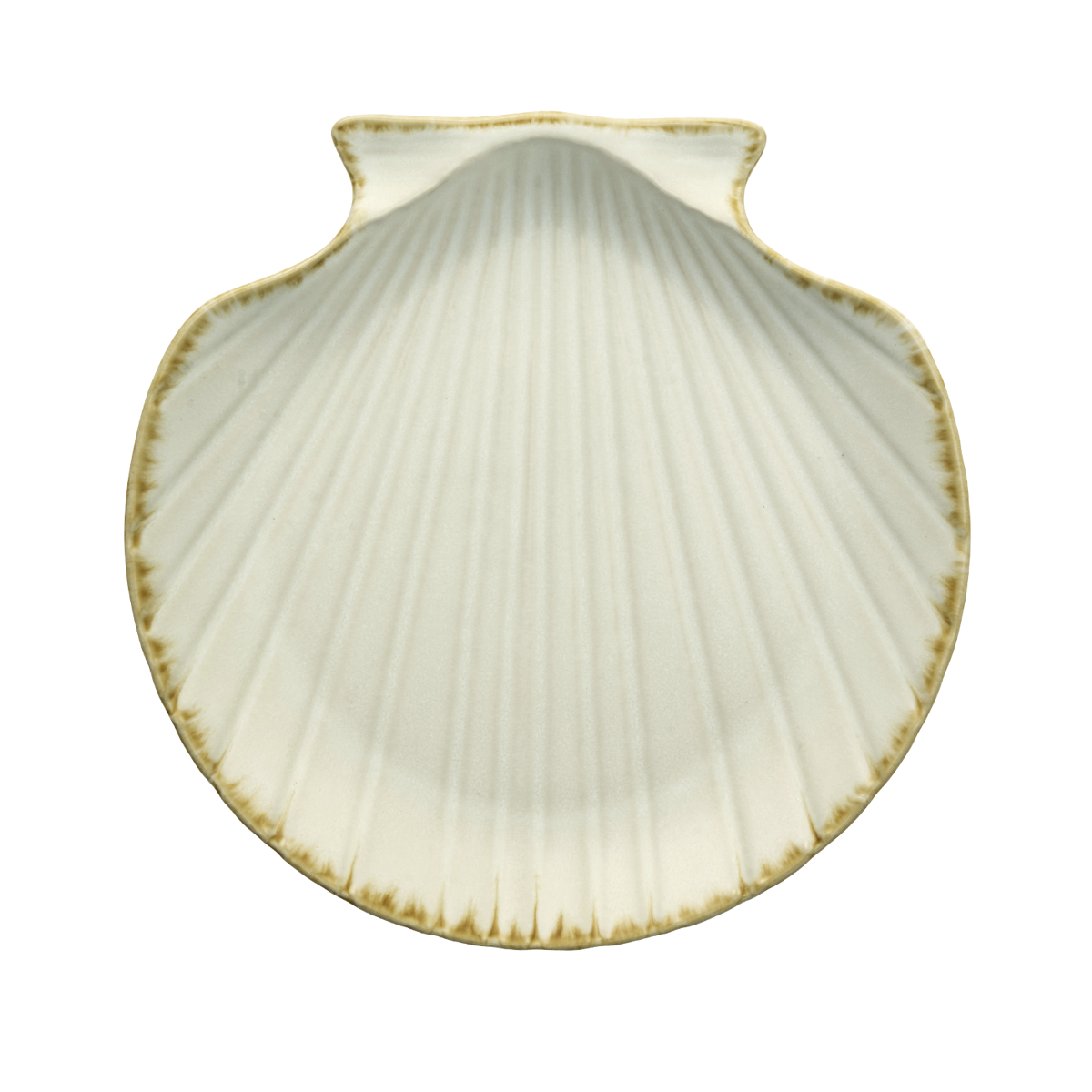 Stoneware sea shell tray