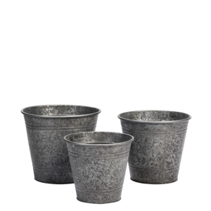 Galvanised iron planters