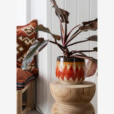 Flower Pot Essentials for your home Flower Pot Essentials for your home