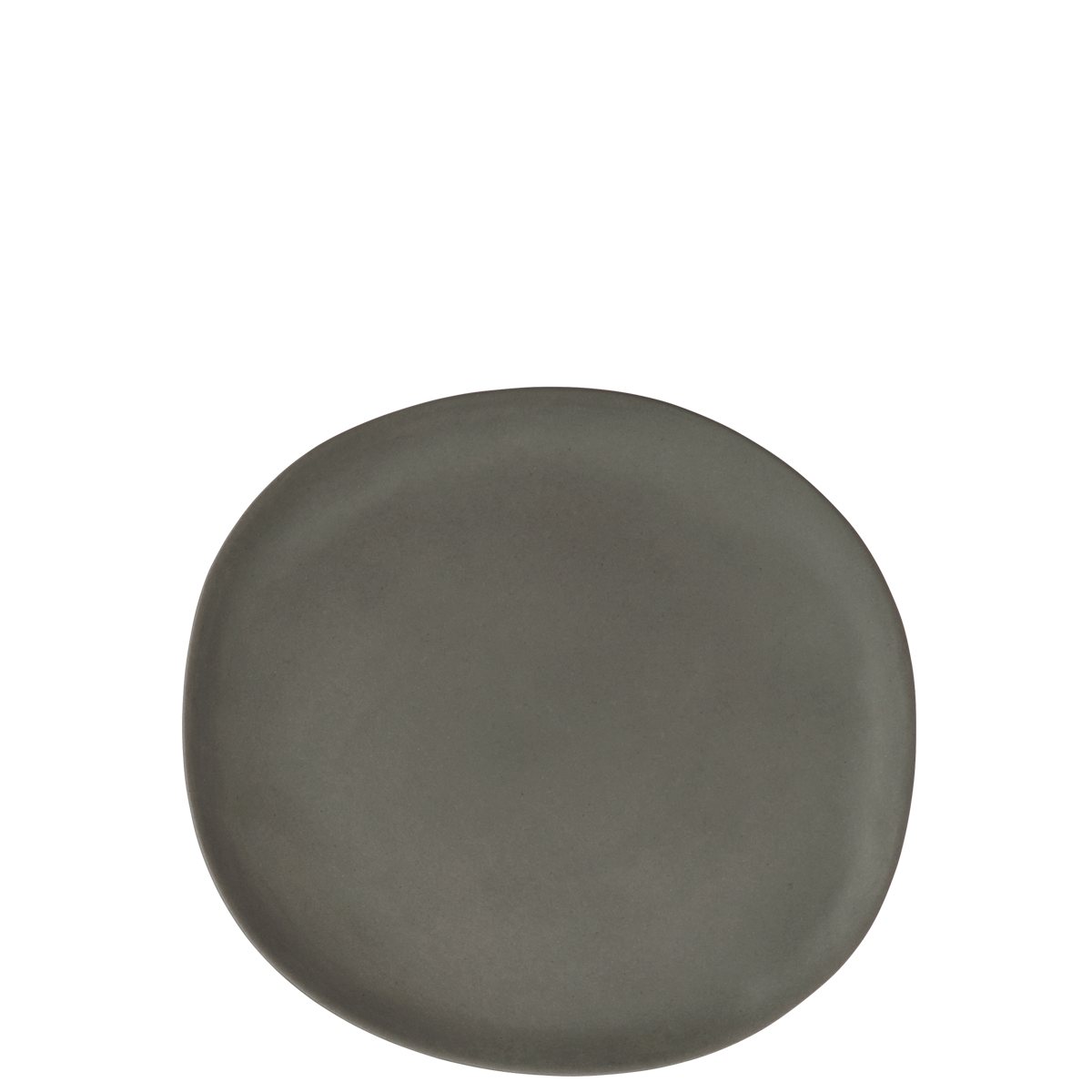 Eco sustainable melamine lunch plate