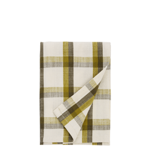 Checked kitchen towel