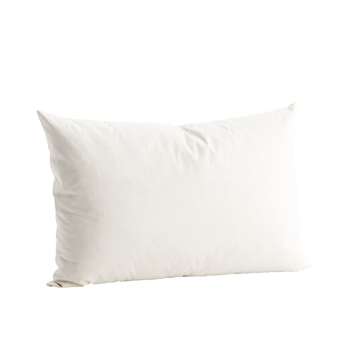 40x60 cushion filler