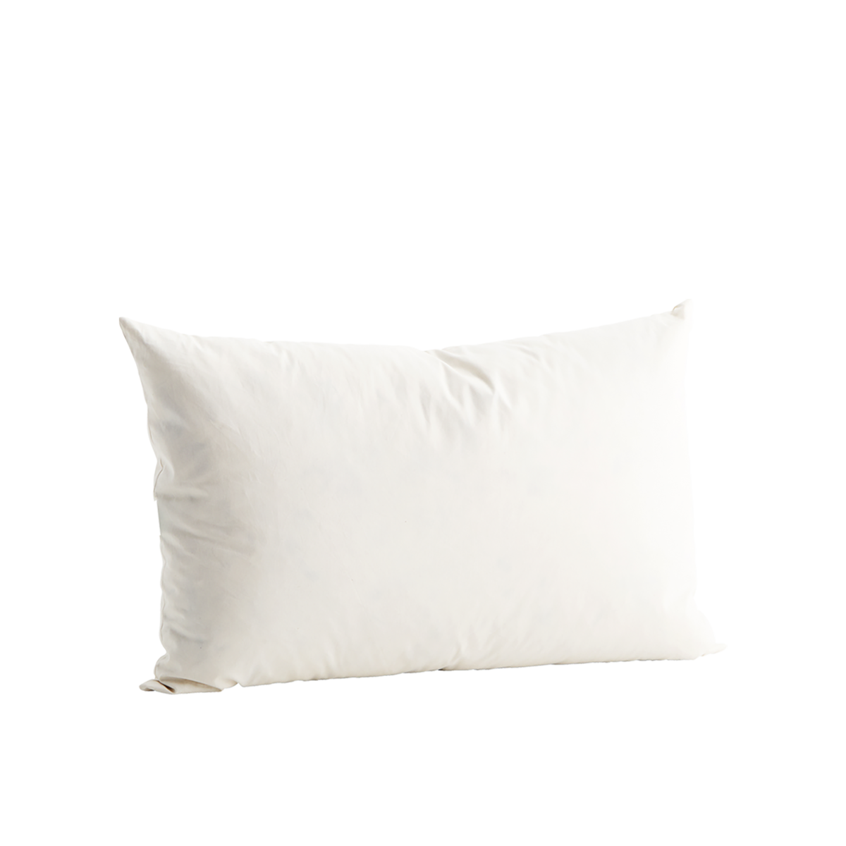 30x50 cushion filler