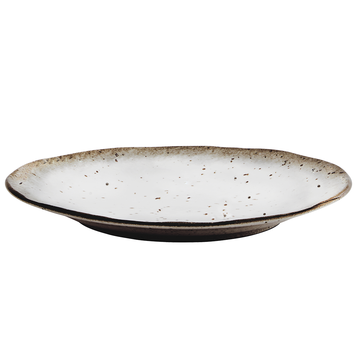 Stoneware dinner plate