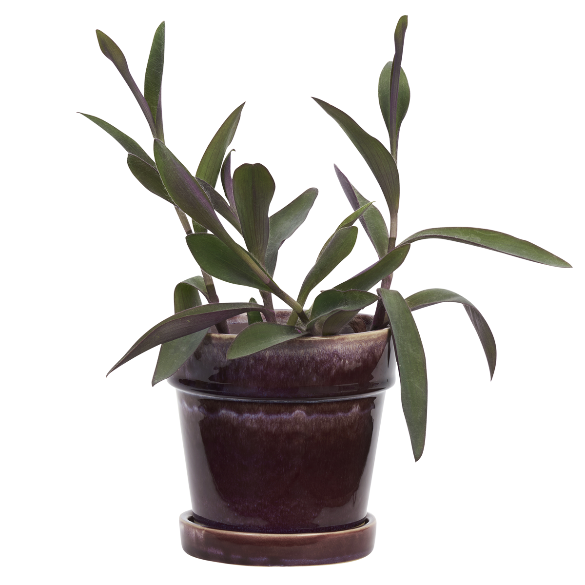 Flowerpot w/ saucer