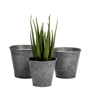 Galvanised iron planters
