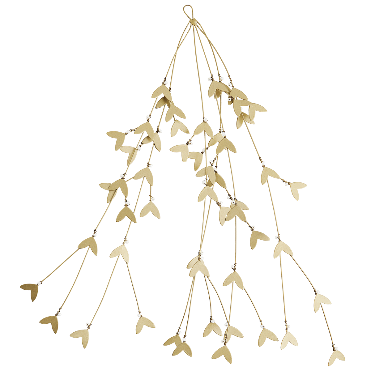 Iron mistletoe Iron mistletoe