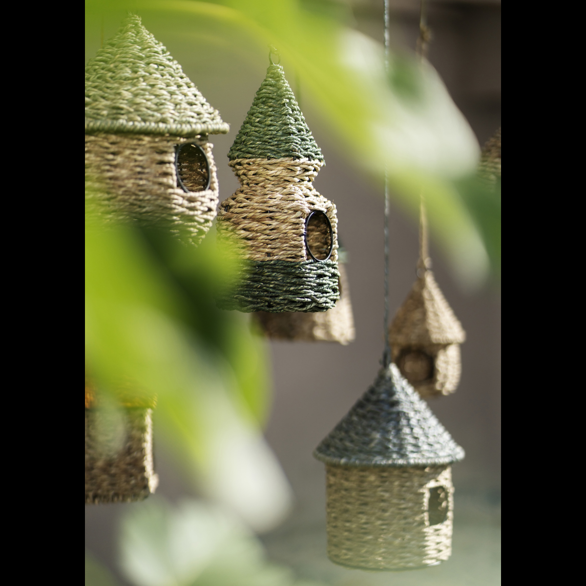 Hanging bird house