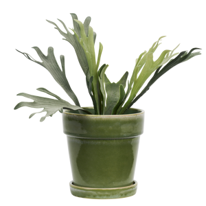 Flowerpot w/ saucer