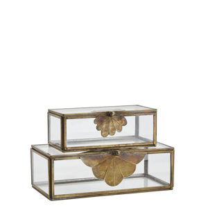 Glass boxes w/ brass leaf