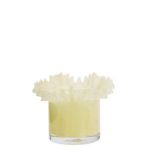 Glass flower pot