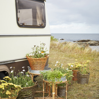 Home Decor Buying Tips for Garden Centers and Plant Shops