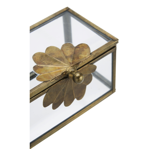 Glass box w/ brass leaf