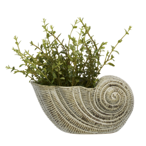 Stoneware conch