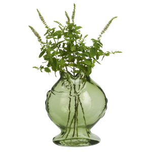 Glass fish vase