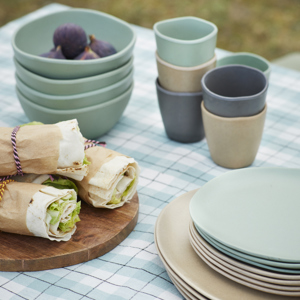 Melamine lunch plate