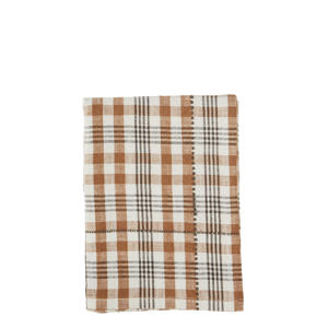 Checked kitchen towel