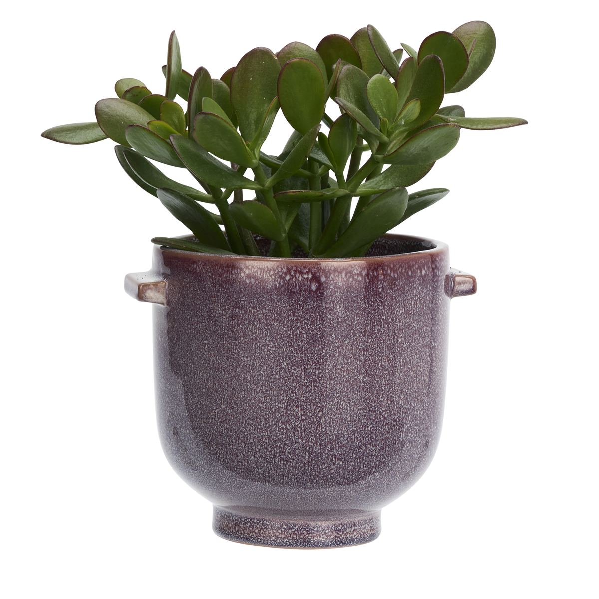 Stoneware flower pot