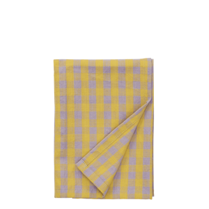 Checked kitchen towel