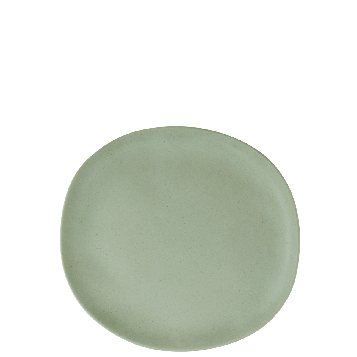 Eco sustainable melamine lunch plate