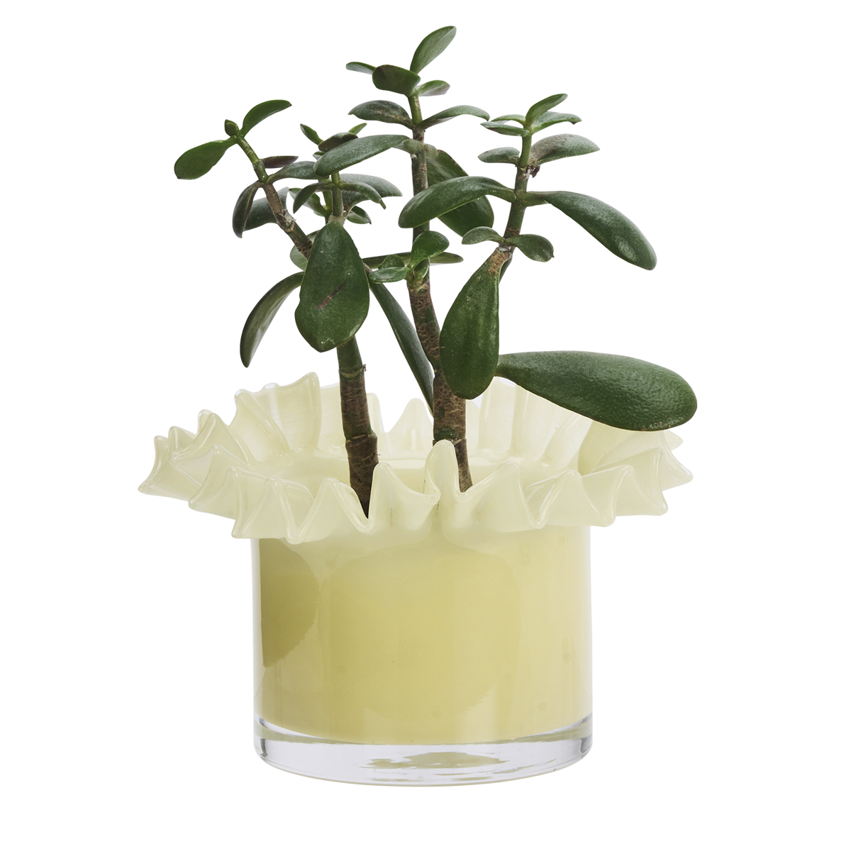 Glass flower pot