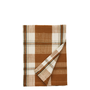 Checked kitchen towel