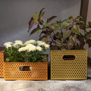 Iron storage boxes