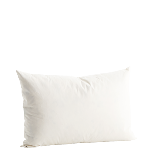 40x60 cushion filler