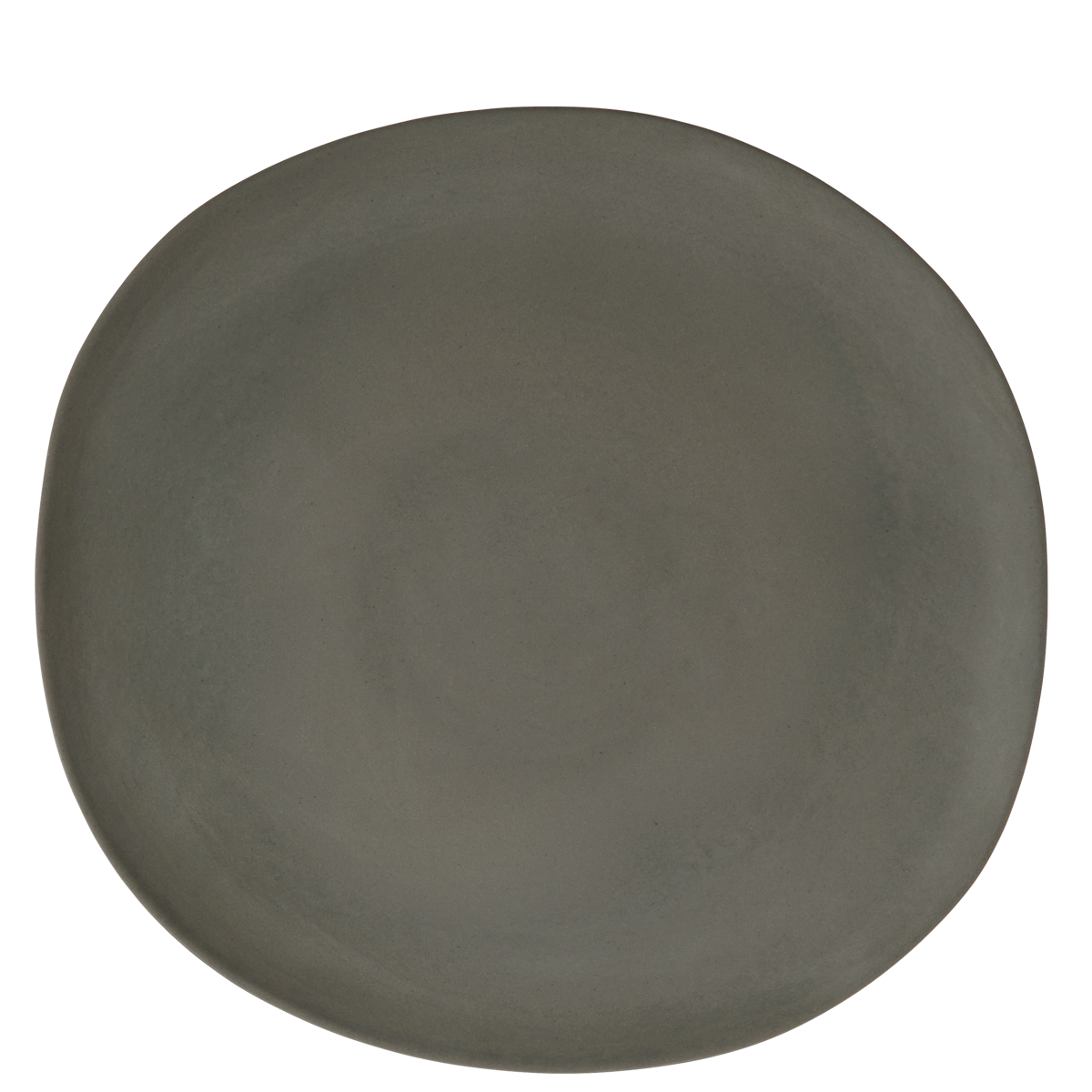 Eco sustainable melamine dinner plate