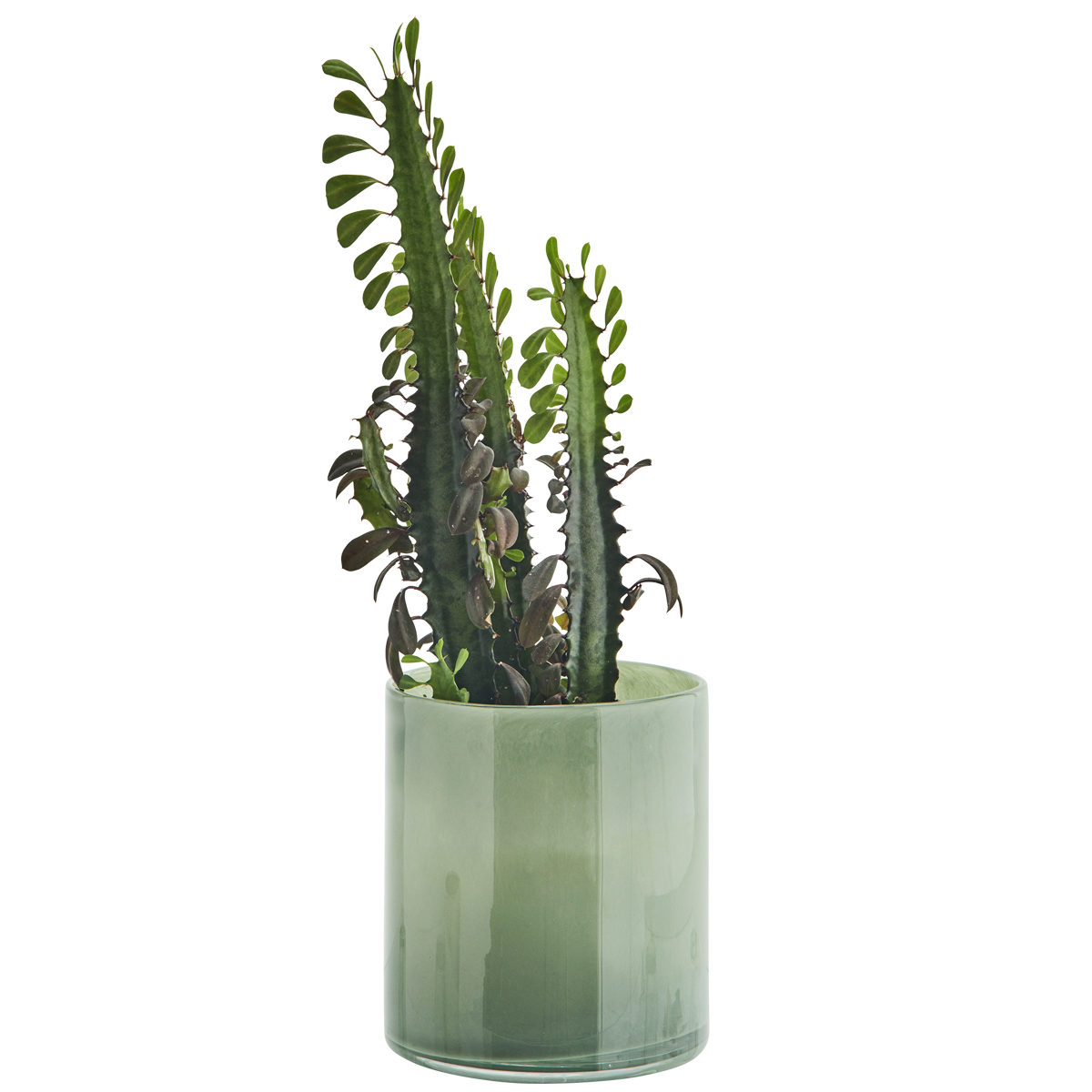 Glass flower pot Glass flower pot