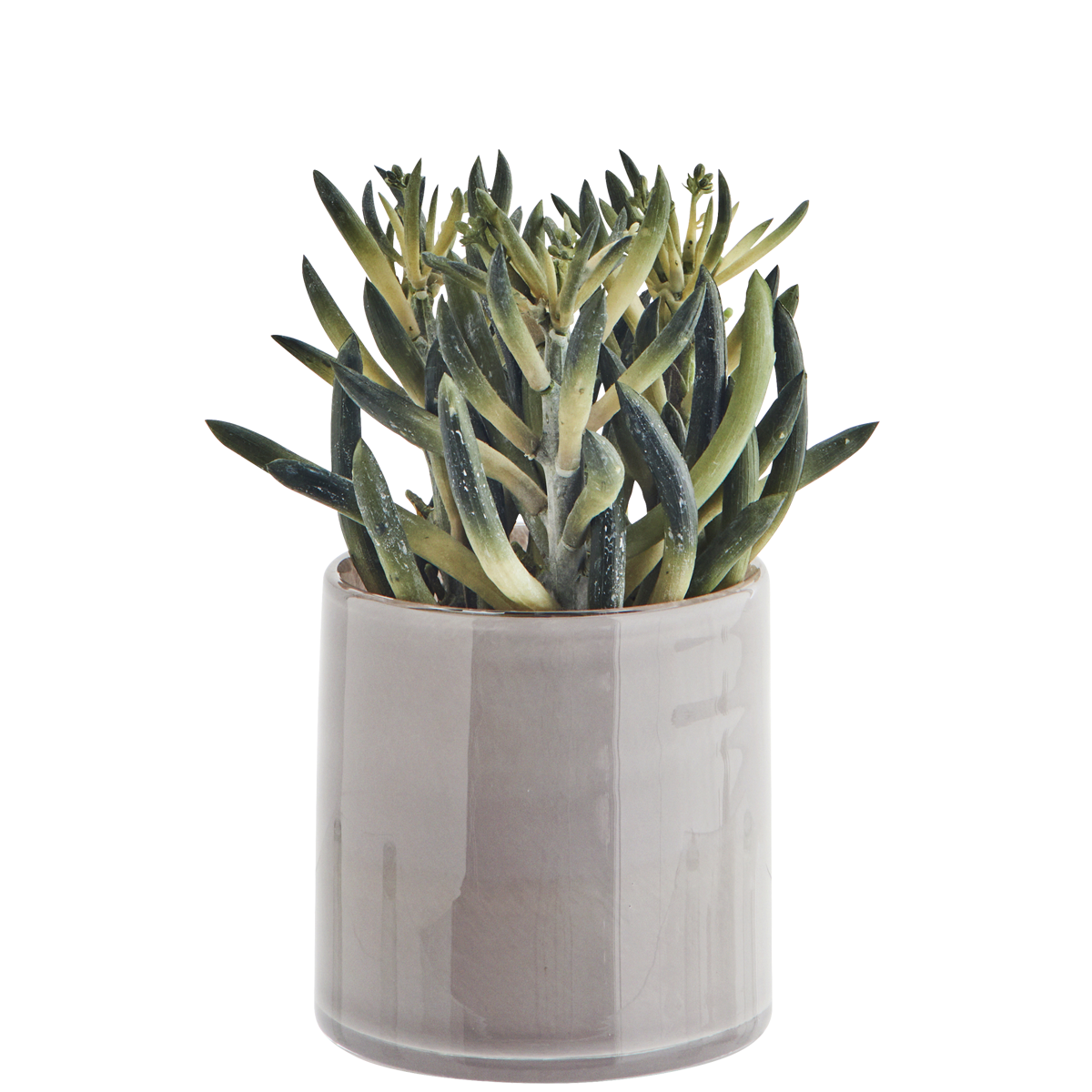 Glass flower pot Glass flower pot